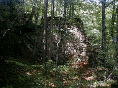 Ruine Säbnich