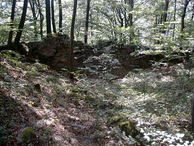 Ruine Säbnich