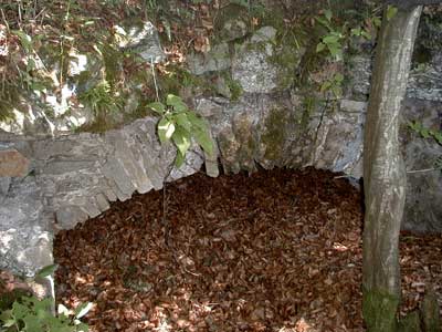 Ruine Säbnich