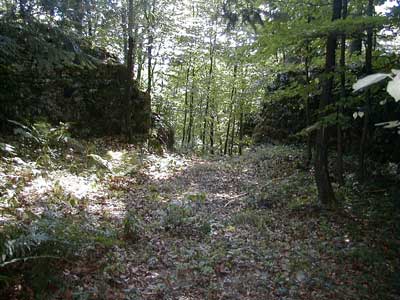 Ruine Säbnich