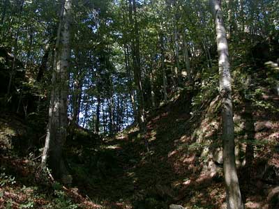 Ruine Saxenegg