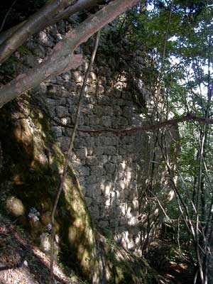 Ruine Saxenegg