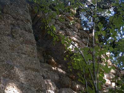 Ruine Saxenegg