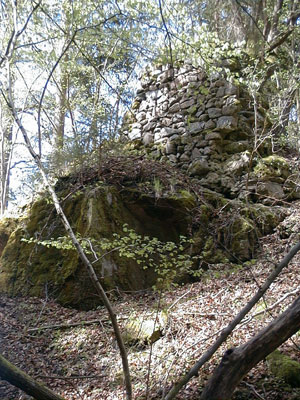 Ruine Schallenburg