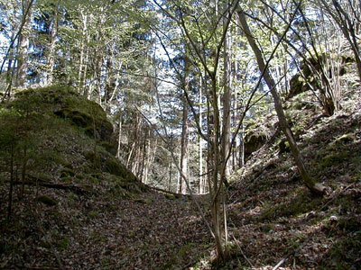 Ruine Schallenburg