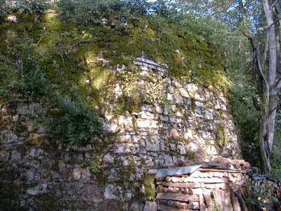 Ruine Seisenburg