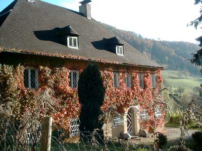 Ruine Dachsberg