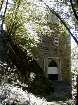 Ruine Wallsee