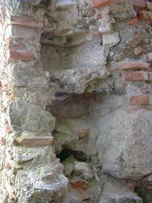 Ruine Wallsee