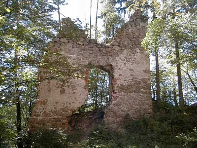 Ruine Wallsee