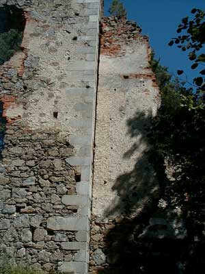 Ruine Wallsee