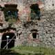 Ruine Wallsee