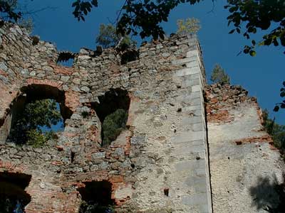 Ruine Wallsee