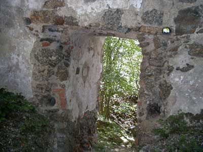 Ruine Wallsee