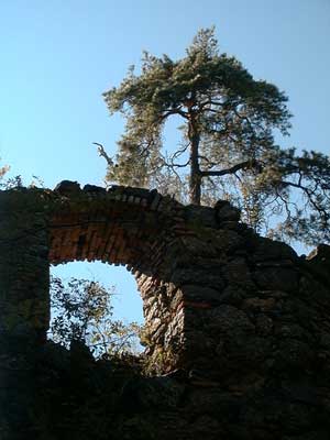 Ruine Wallsee