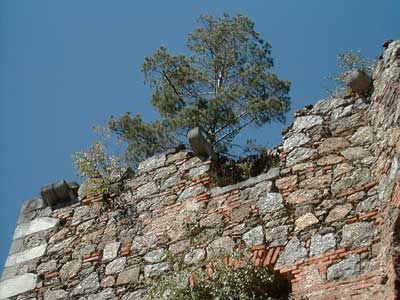 Ruine Wallsee