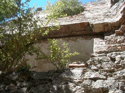 Ruine Wallsee