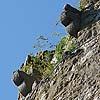 Ruine Waxenberg in Obeösterreich