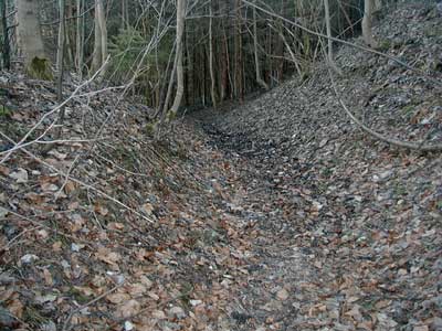 Ruine Wildeneck