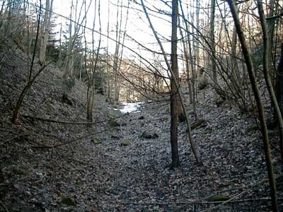 Ruine Wildeneck