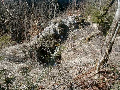 Ruine Wildeneck