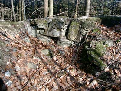 Ruine Wildeneck