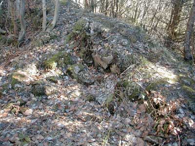 Ruine Wildeneck