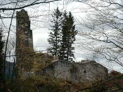 Ruine Wildenstein