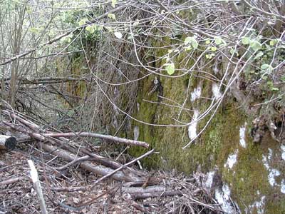 Ruine Wildenstein