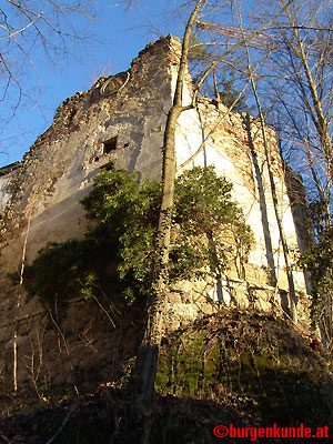 Ruine Windhaag / Oberösterreich