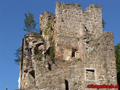 Ruine Windhaag / Oberösterreich