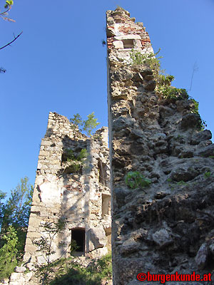 Ruine Windhaag / Oberösterreich