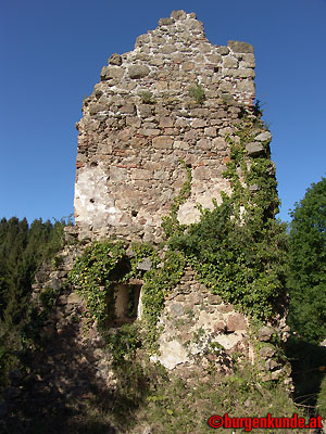 Ruine Windhaag / Oberösterreich