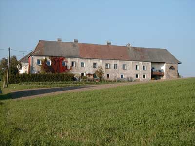 Schloßruine Zellhof