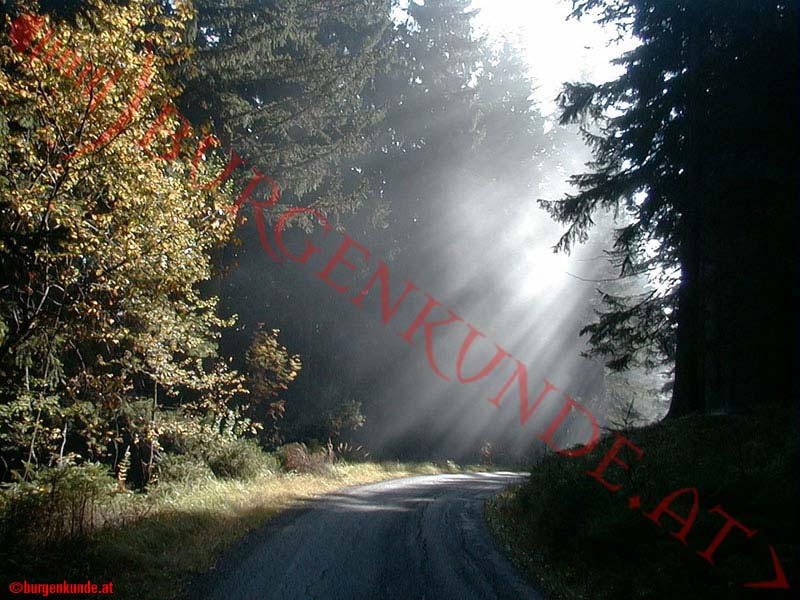 lichtspiel.jpg
