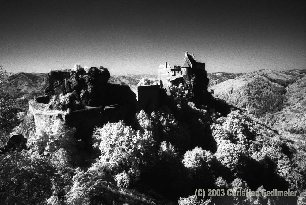 Ruine Aggstein NÖ