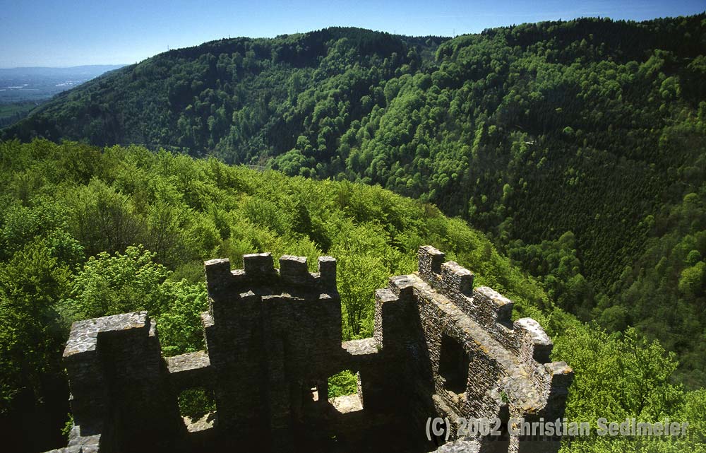 Ruine Stauf OÖ