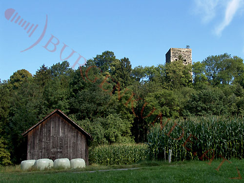 Burgruine Tosters in Feldkirch / Vorarlberg