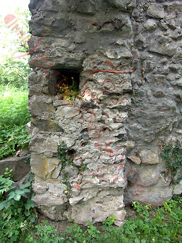 Burgruine Tosters in Feldkirch / Vorarlberg