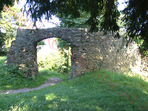 Burgruine Tosters in Feldkirch / Vorarlberg