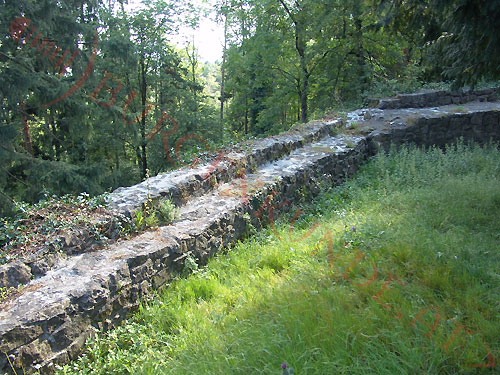 Burgruine Tosters in Feldkirch / Vorarlberg