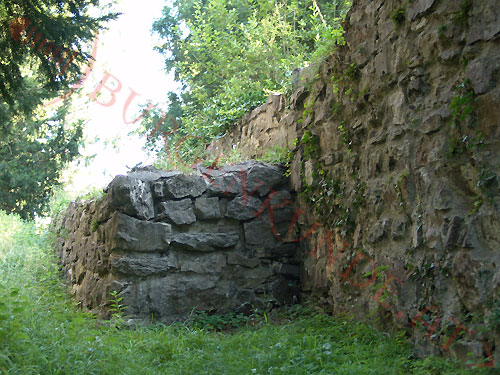 Burgruine Tosters in Feldkirch / Vorarlberg