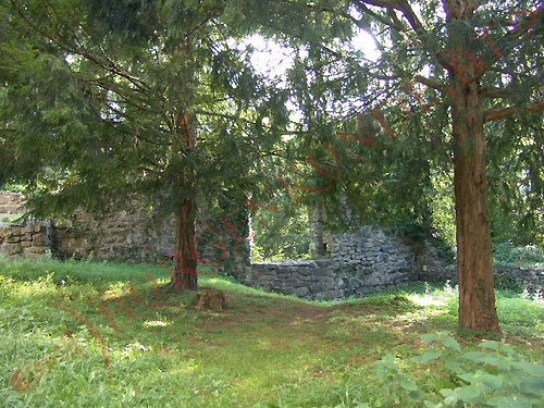 Burgruine Tosters in Feldkirch / Vorarlberg