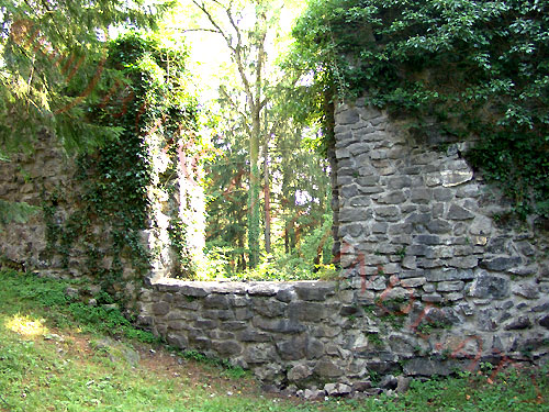 Burgruine Tosters in Feldkirch / Vorarlberg