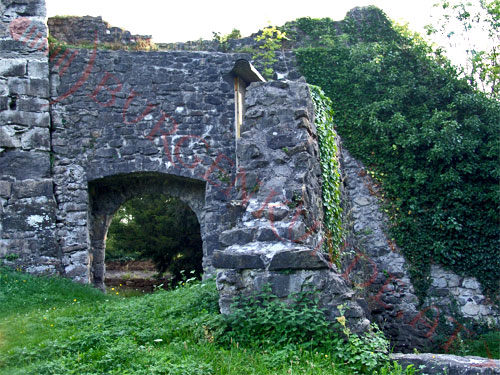 Burgruine Tosters in Feldkirch / Vorarlberg