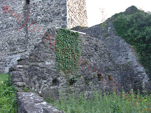 Burgruine Tosters in Feldkirch / Vorarlberg