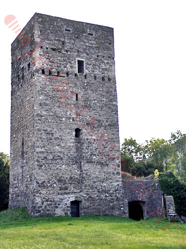 Burgruine Tosters in Feldkirch / Vorarlberg