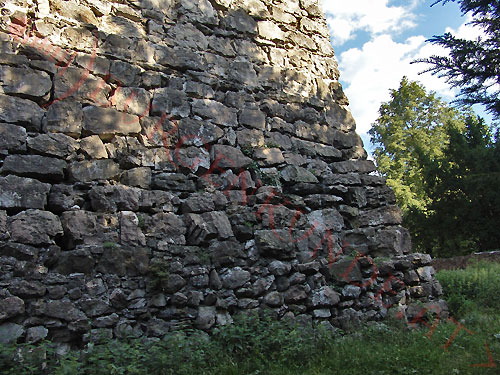 Burgruine Tosters in Feldkirch / Vorarlberg