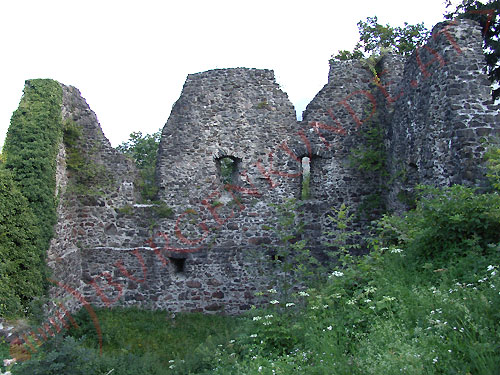 Burgruine Tosters in Feldkirch / Vorarlberg