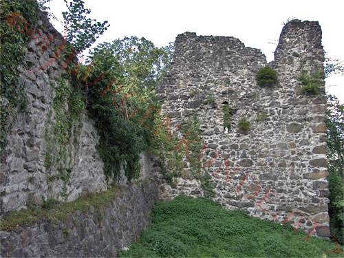 Burgruine Tosters in Feldkirch / Vorarlberg